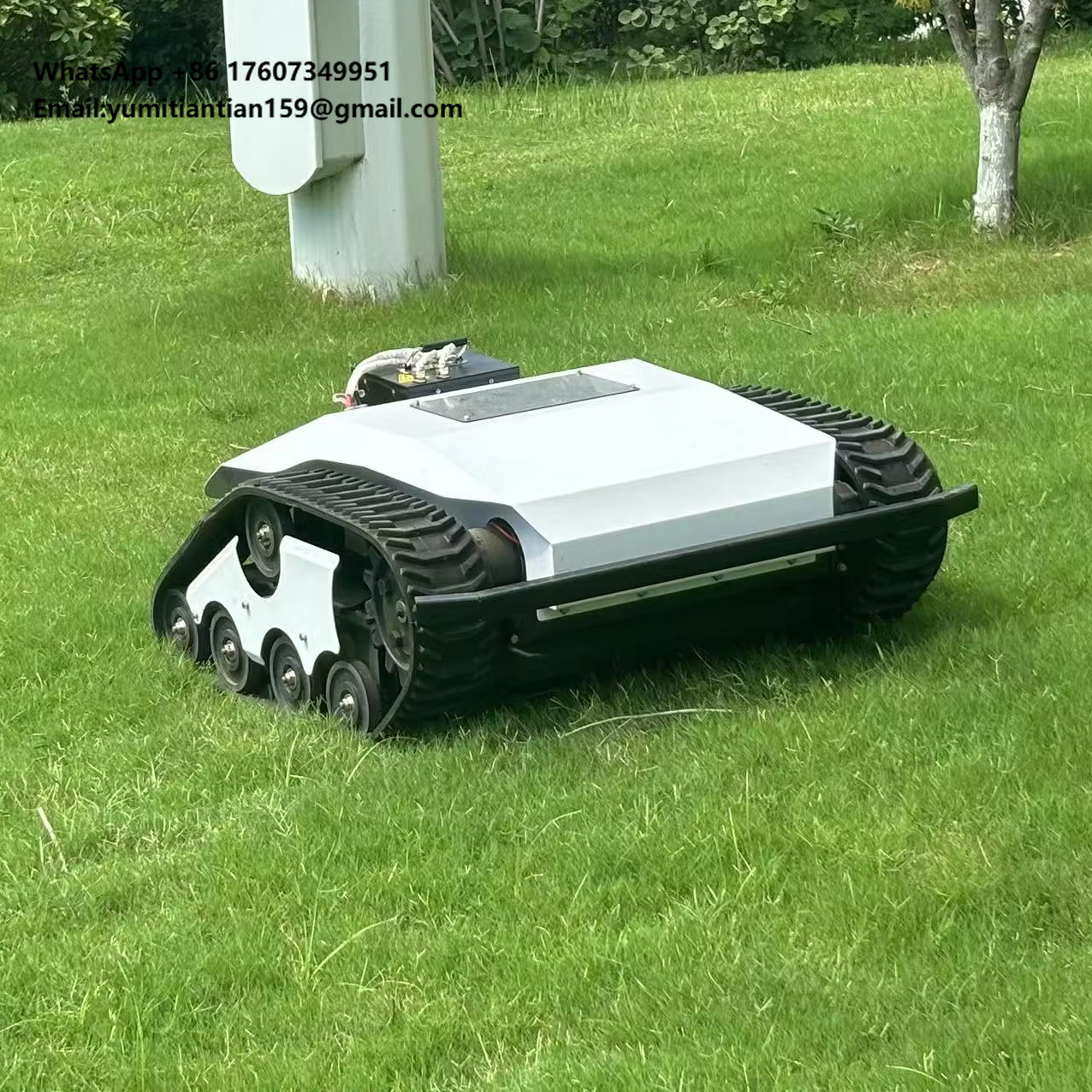 Img